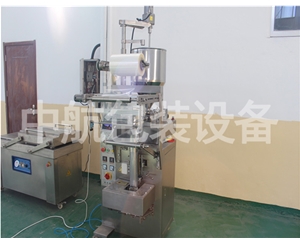 食鹽粉劑顆粒制袋式罐裝包裝機